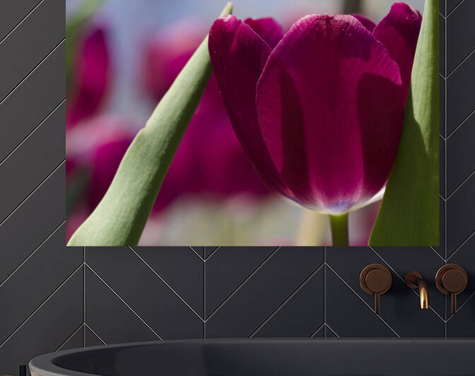 Oh Sunny Day by Suzanne Bonin