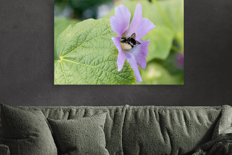Natures Harmony: Macro Image of Bee on Hibiscus by Melissa Lefebvre