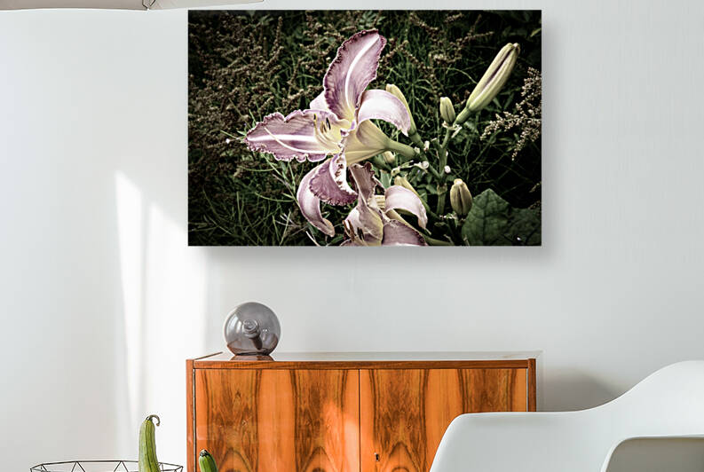 Desaturated Elegance: Lys Photograph by Melissa Lefebvre