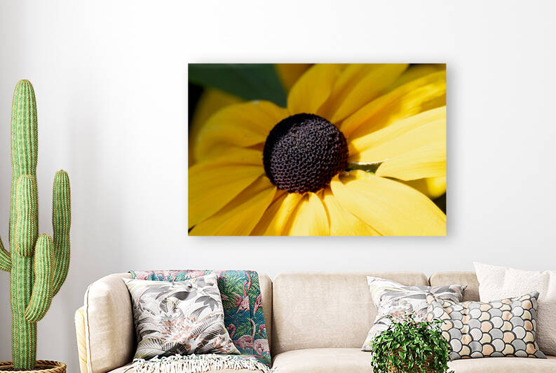 Exploration detaillee : Decouvrez la splendeur dun rudbeckia en gros plan macro by Melissa Lefebvre