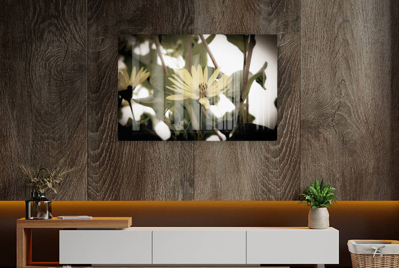 Nature reinventee : Decouvrez le tournesol en macro desature  by Melissa Lefebvre