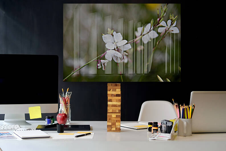 Luminosite florale : Fleur de Gaura en pose macro details captivants et fond bokeh by Melissa Lefebvre