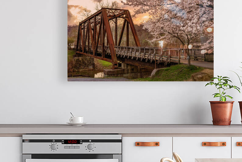Sunset behind cherry blossoms in Morgantown WV by Steve Heap