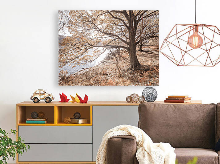 Derwentwater Lake by Assaf Frank