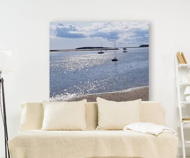 facebook 1684776894649 7066466468337924923 by Rochelle Marcus