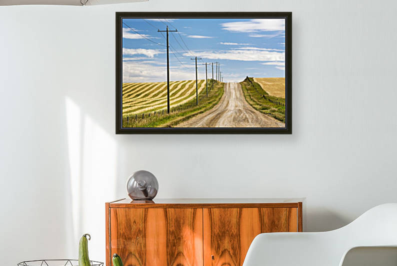 Gravel road climbing a hill with wooden electrical poles and a brown cut field on one side and a golden grain field on the other with blue sky and clouds; Alberta, Canada by PacificStock
