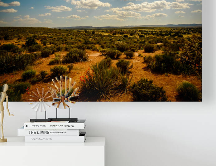 Wide Open Spaces by Wesley Varney