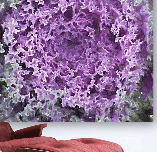 Ornamental Cabbage Kale X100 by Rich Franco