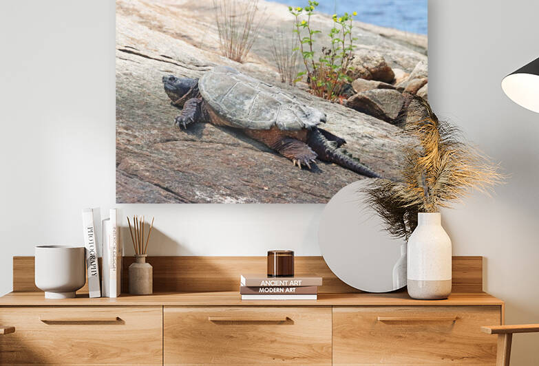 The Armoured Tank by Deb Oppermann