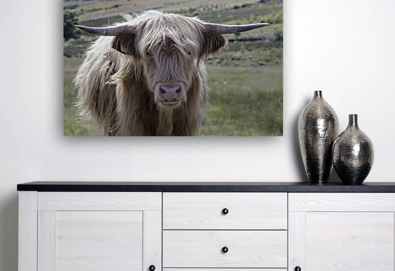 Scotlands gentle giant by Leighton Collins