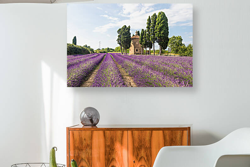 Lavender lines in Italy. Tuscany coutryside scenery landscape at by Paolo Modena