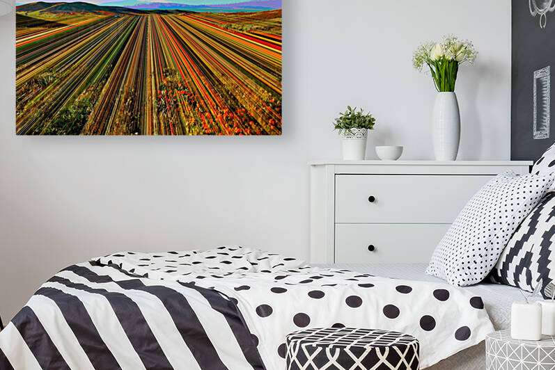 CAIFORNIA POPPY FIELD by LES MAYERS 