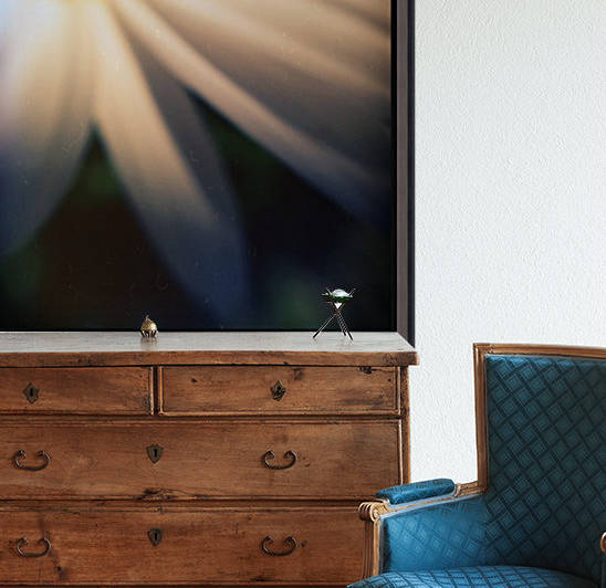 Petal devotion by Ulf Bley