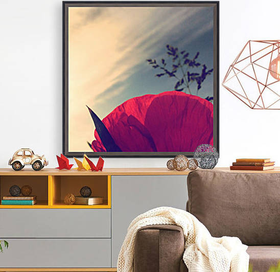 Poppy sky by Ulf Bley