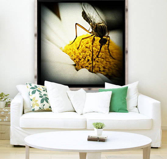 Vegetarian Mosquito by Ulf Bley