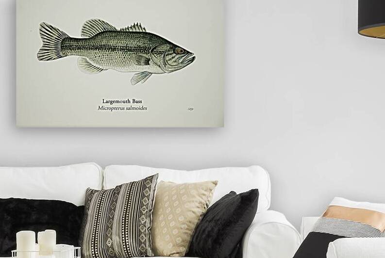Largemouth Bass Painting by Stephen Emms