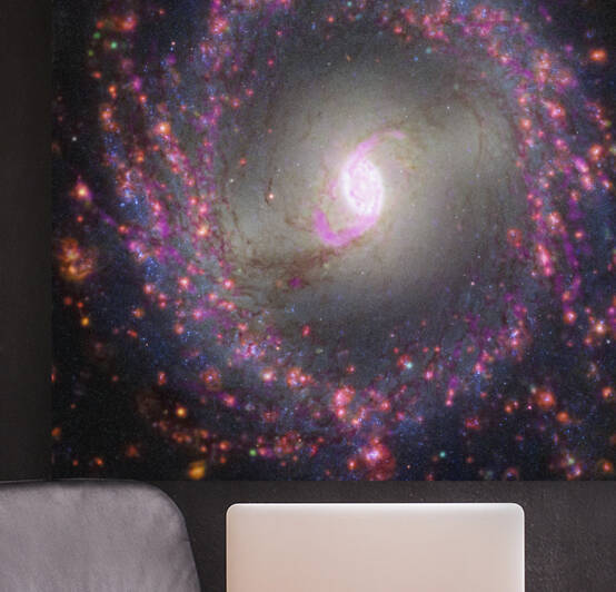 Multiwavelength View of NGC 3351 by NASA Images