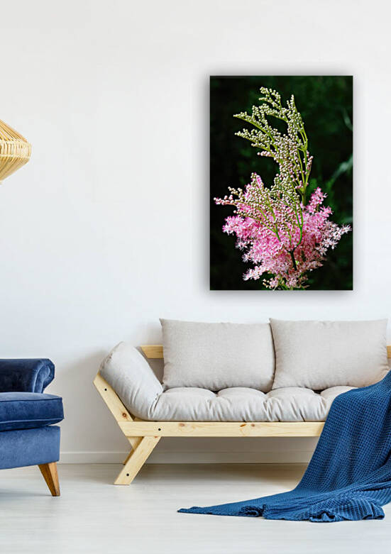 Cotton Candy Plumes by Deb Oppermann