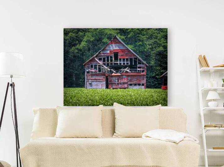 Barn Decaying Near Selbyville Delaware by Bill Swartwout Photography