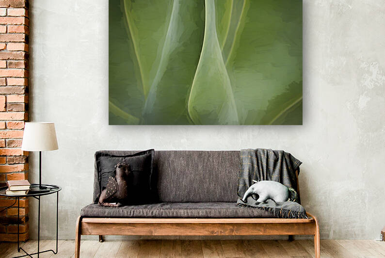 California Agave X103 by Rich Franco