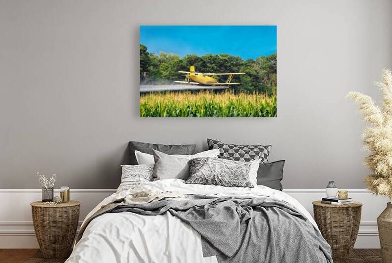 Crop Dusting the Corn by Bill Swartwout Photography