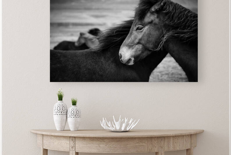 Icelandic Horses by Dave Bowman