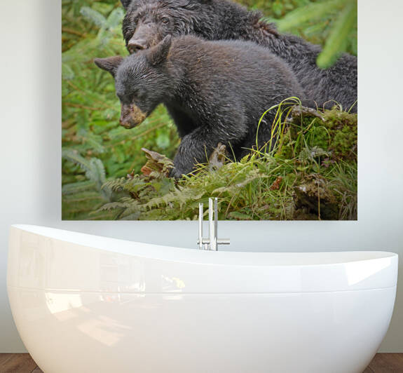 Mom and Cub by Jim Radford