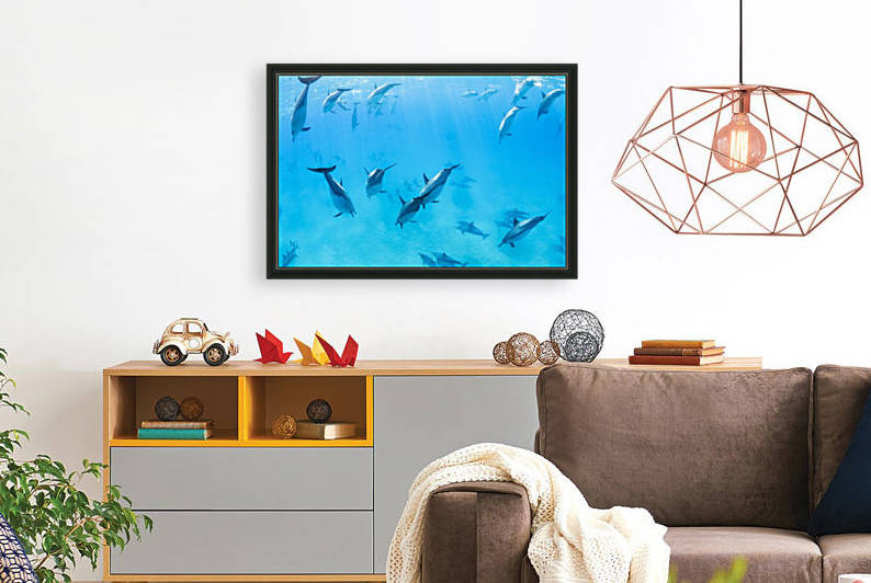 Dolphins Swimming in the Ocean, Amazing Underwater View by PacificStock