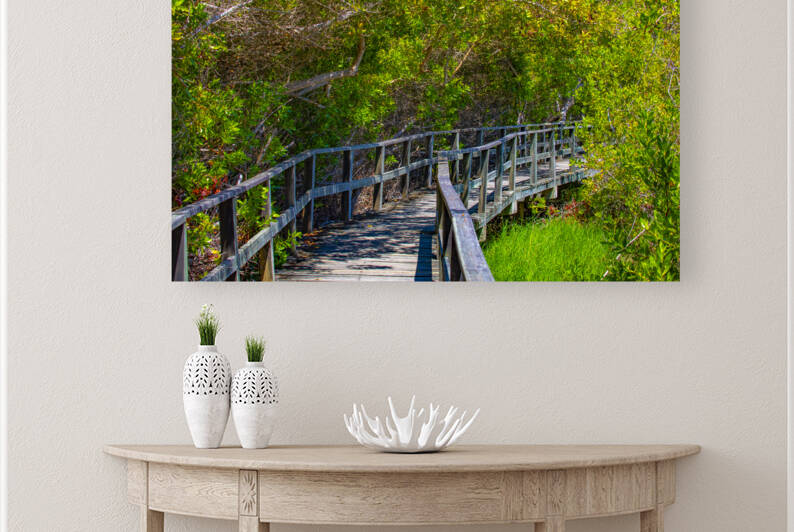 Galapagos Hikes by Cintia Campos