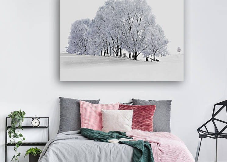 Hoarfrost in Minnesota by Jim Radford