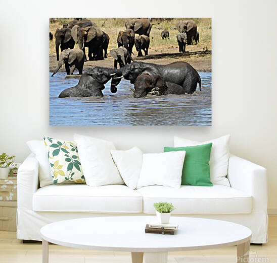 Adolescent Elephants Tussling by Tom Fritz