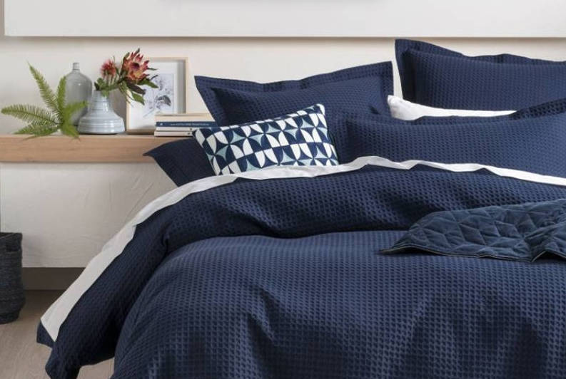 Marine iguana (Amblyrhynchus cristatus) sunbathing on black volcanic rocks; Galapagos Islands, Ecuador by PacificStock