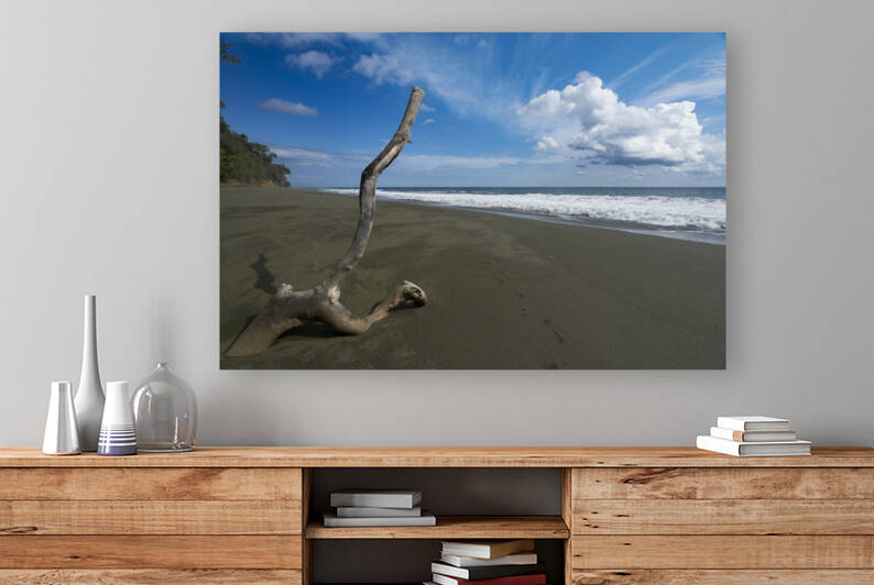 Bois mort by Sophie Thibault