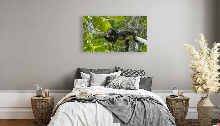 Farniente by Sophie Thibault