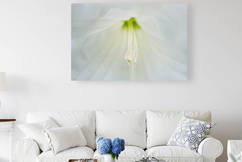 Moonflower Stamen Macro by Iris H Richardson