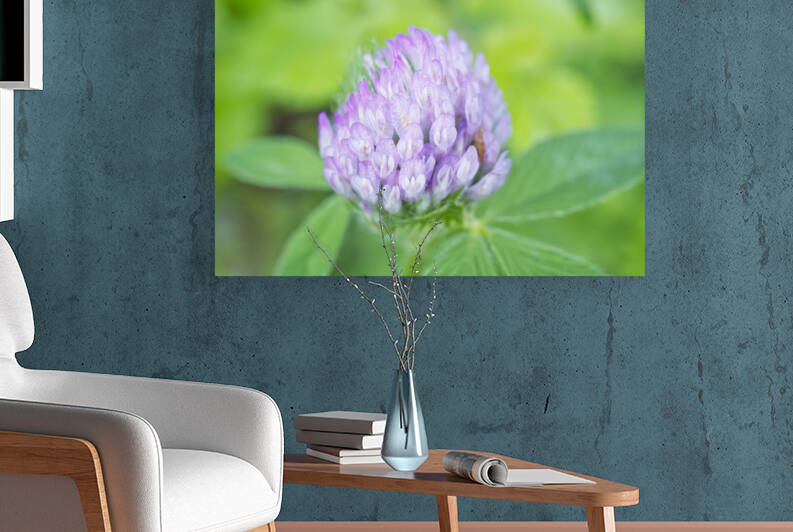 Purple Closer Flower with Morning Dew 0725 by Iris H Richardson