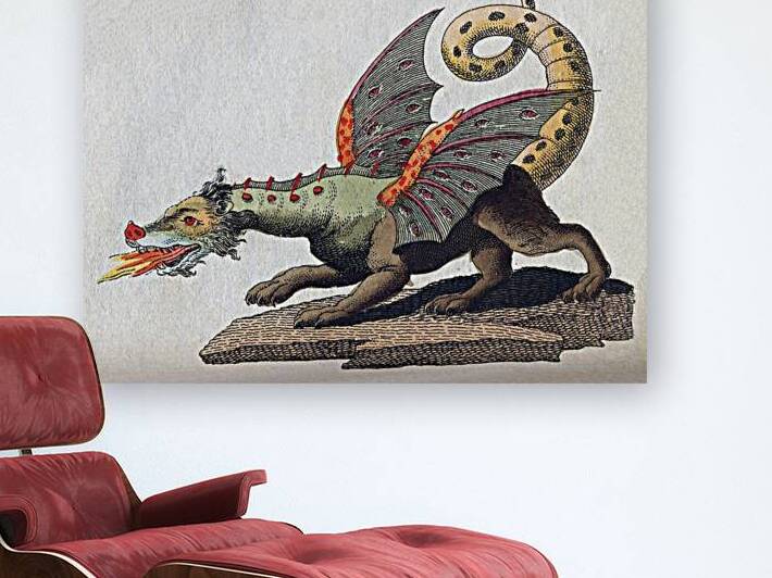 IMG 0329 by Magikheart