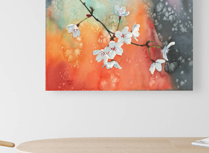 Cherry Blossoms  by Taphath Foose