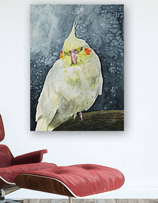 Buttercup the Cockatiel by Taphath Foose