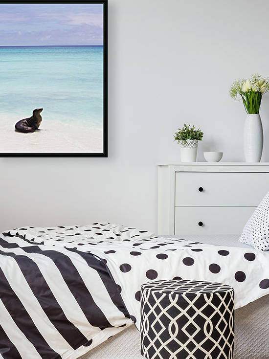 Sea lion on white sand beach with crystal clear turquoise water by PacificStock