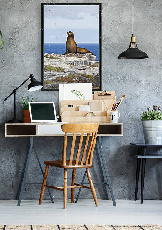 Sea lion on rocky promontory above blue sea bay by PacificStock