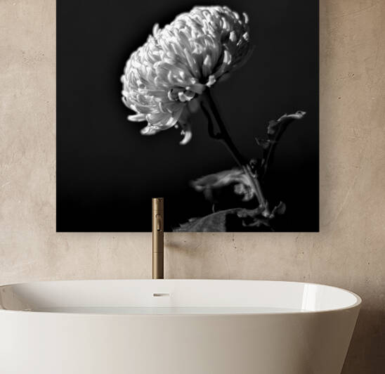 Fleur blanche 1 by Marc Andre Laurin