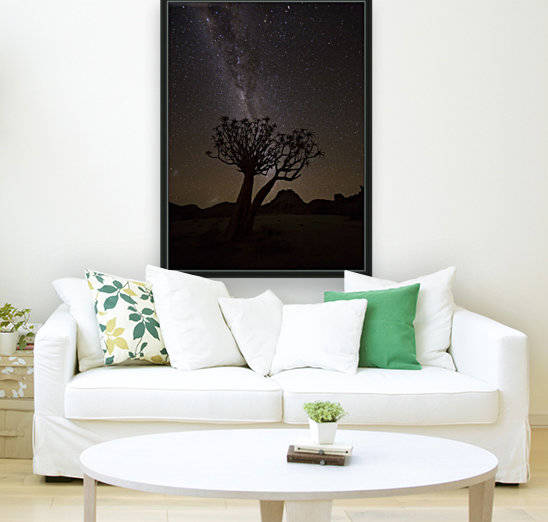 The milky way slashes across the night sky above a quiver tree (kokerboom, aloe dichotoma) in Richtersveld National Park; South Africa by PacificStock