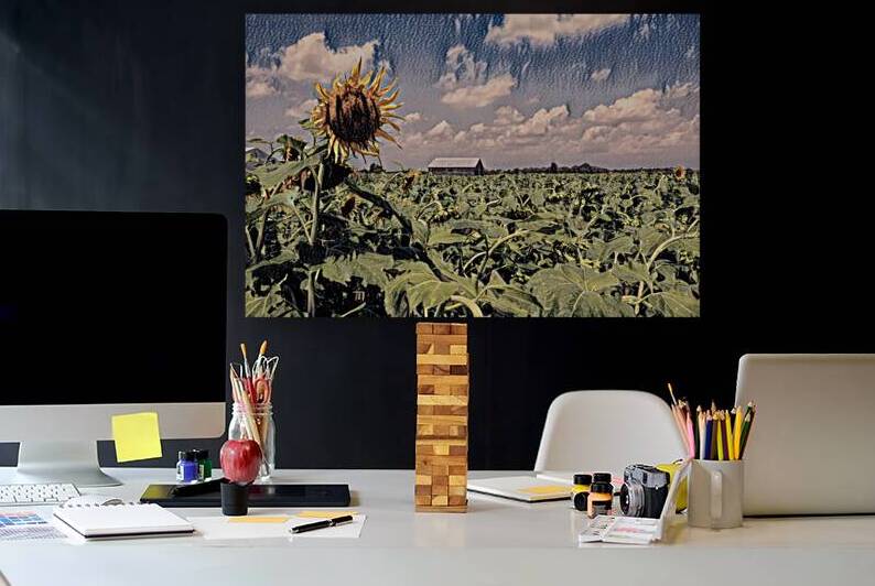 Solitary Sunflower in Charcoal by Bill Swartwout Photography