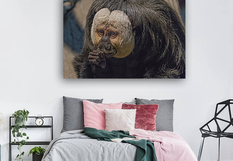 Speak no evil  by Jim Radford