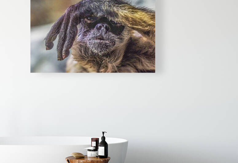 See no Evil   by Jim Radford