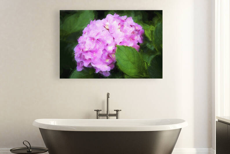 Hydrangea Macrophylla Pink Hydrangea X102 by Rich Franco