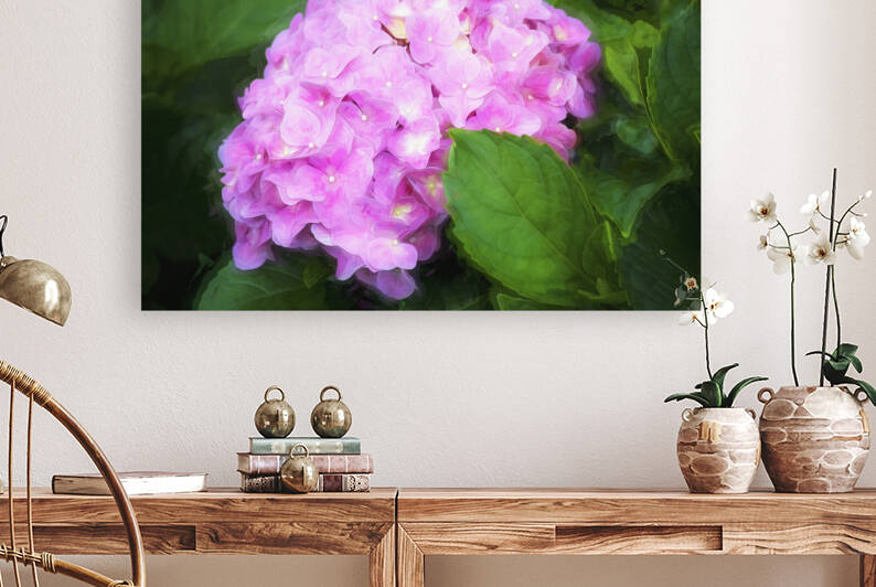 Hydrangea Macrophylla Pink Hydrangea X104 by Rich Franco