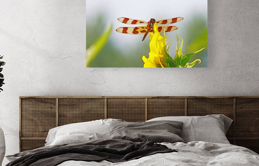 Halloween Pennant by Deb Oppermann