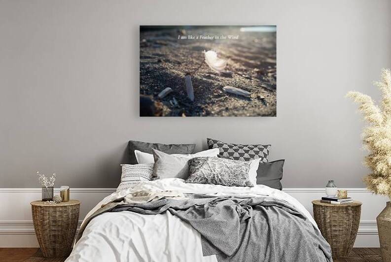 Feather in the wind Print by Stephen Emms